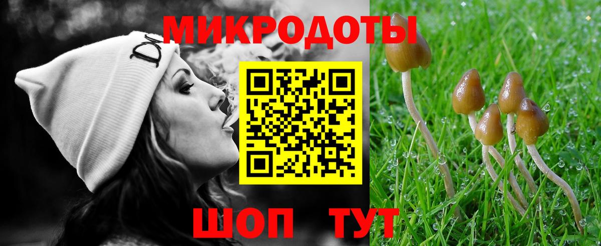 Галлюциногенные грибы Psilocybe Балабаново